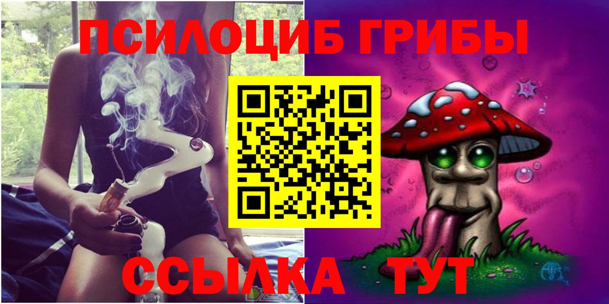 Галлюциногенные грибы Psilocybe Волоколамск